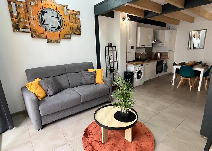 2 Hyper Centre D'agen Avec Garage Et Terrasse * Agen