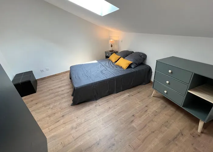 2 Hyper Centre D'agen Avec Garage Et Terrasse