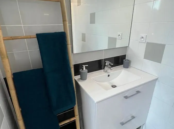 Apartmán 2 Hyper Centre D'agen Avec Garage Et Terrasse Agen